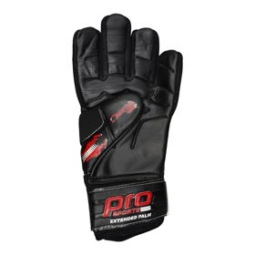 دستکش دروازه بانی پرو اسپورتس مدل 404K1346 سایز 10 بسته دو عددی