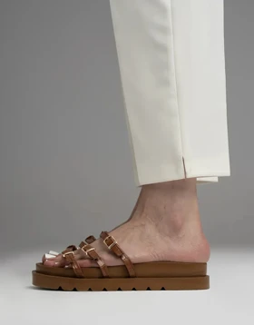 3 سگک زارایی