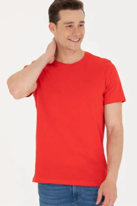 تیشرت مردانه u.s.-polo-assn.