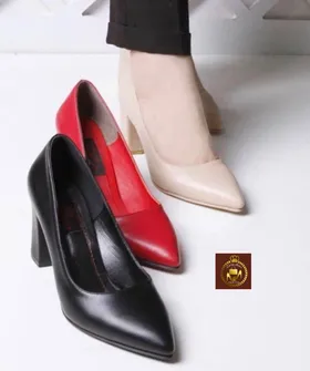 کفش زنانه مجلسی رودشگاه