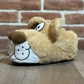 پاپوش تدی