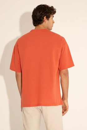 تیشرت مردانه u.s.-polo-assn.