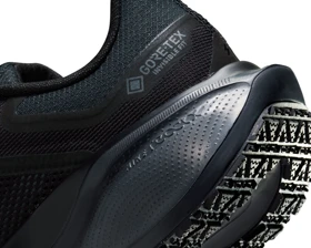 کفش دویدن Nike Pegasus 41 Gore-Tex PC_FQ1357-001
