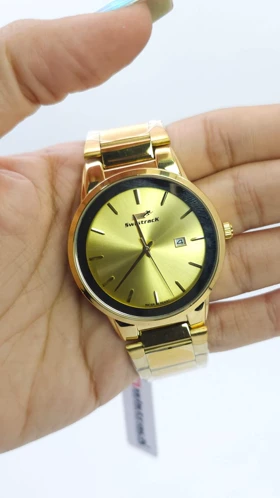 ساعت مچی مردانه سوییس تراک Swistrack ST6172M تمام استیل رنگ ثابت