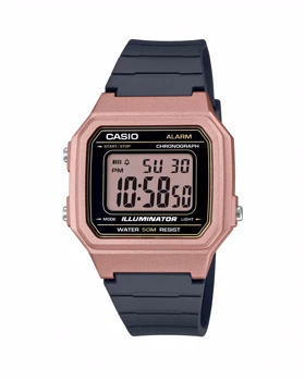 ساعت مچی کاسیو CASIO W-217HM-5AV