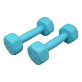 دمبل بدنسازی رادیس فیت مدل Six- Sided وزن 1 کیلو گرم بسته دو عددی