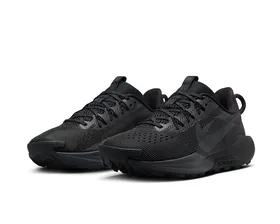 کفش های دویدن در تمام زمین Nike Pegasus Trail 5 PC_DV3865-005