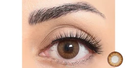 لنز طبی رنگی سالانه فستیوال Festival Morning Q (استعلام موجودی در واتساپ) (Ice Brown (قهوه‌ای یخی))