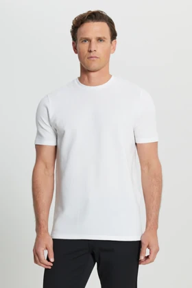 تیشرت مردانه altinyildiz-classics altinyildiz-classics