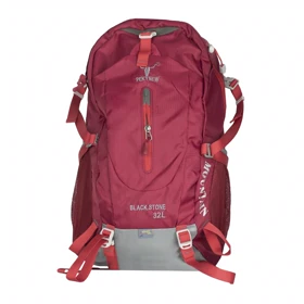کوله پشتی کوهنوردی دیوتر 30 لیتری مدل Deuter C115 (قرمز)