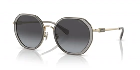 عینک آفتابی کوچ Coach HC7141S (طوسی)