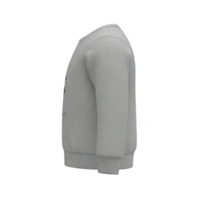 ست سویشرت آستین بلند و شلوار راحتی پسرانه مدل مارمولک PJ1388