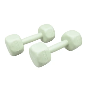 دمبل بدنسازی رادیس فیت وزن 2.5 کیلو گرم بسته دو عددی