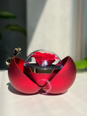 باکس گل جاودان پاپیونی