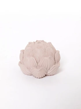 جاعودی لوتوس