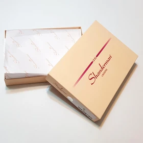 سوتین شاندرمن فنردار کد 2454-214 آبی روشن