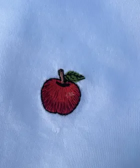 تیشرت سیب گلدوزی🍎