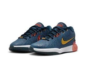 کفش بسکتبال جوانان Nike Lebron Xxı PC_FV3606-400