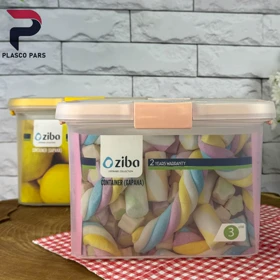 ظرف فریزری گاپانا مستطیل 3 لیتر زیبا