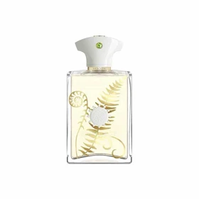 عطر ادکلن آمواج براکن مردانه 100 میل اصلی Amouage Bracken for Men 100ml