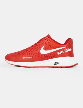 کفش ورزشی مردانه Nike