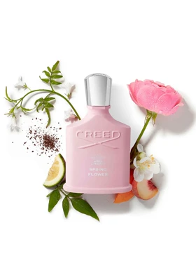 کرید اسپرینگ فلاور-creed Spring Flower