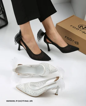 کفش مجلسی لودشکا پاپیونی RO