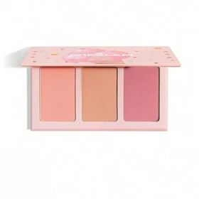 پالت رژگونه بستنی 3 رنگ شیگلم