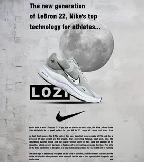 کفش کتانی مردانه و زنانه طوسی NIKE Lebron 22 Guide V.02
