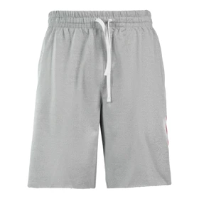 شلوارک ورزشی مردانه نایک جردن مدل Dri Fit-4296 طوسی روشن