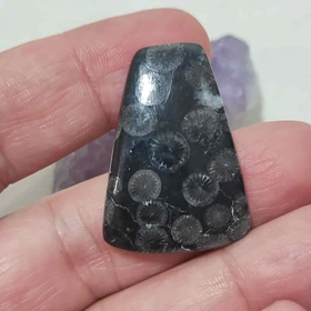 نگین مرجان فسیلی سیاه اصل کد 4