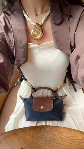 کیف (کوچک) لون شان Long Champ Pouch 50129