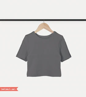 کراپ آستین کوتاه طوسی