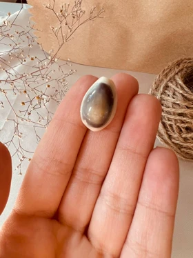 گوشواره صدف طبیعی