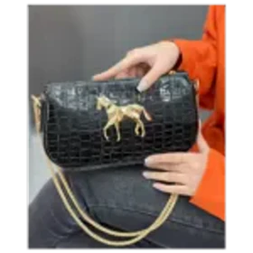 کیف دوشی ورنی هرمس