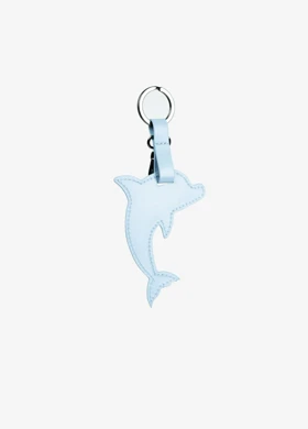 اکسسوری Y0743