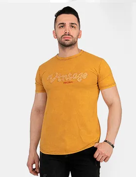 تیشرت مردانه Araz