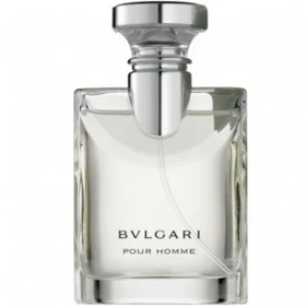 عطر ادکلن بولگاری پور هوم 100 میل اورجینال Bvlgari Pour Homme 100ml Original