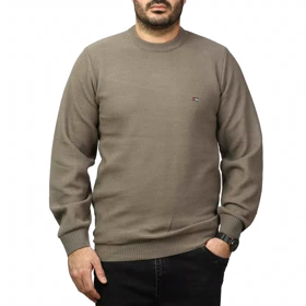 پلیور بافت فندقی مردانه مدل 659853