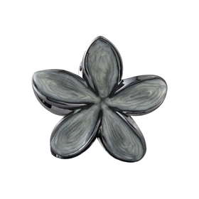 کلیپس دخترانه فانتزی پلومریا