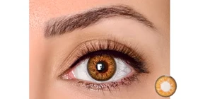 لنز رنگی سالانه رینبو Rainbow P-CON (BrownG306 (قهوه ای عسلی دورمشکی))