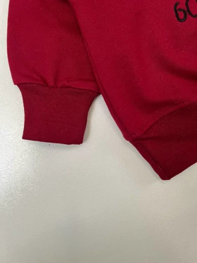 ست طرح اردک