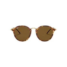عینک آفتابی ریبن RayBan RB2447S 1160
