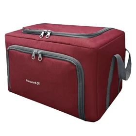 نظم دهنده سفری و کمد فوروارد FORWARD - FCLT4441 ROOMINESS PLACE