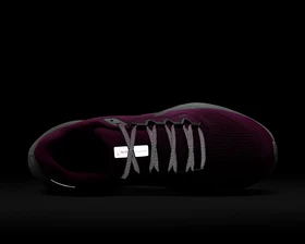 کفش دویدن Nike Pegasus 41 Prm PC_FZ1626-500
