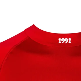 تیشرت ورزشی مردانه 1991 مدل TS1913-R