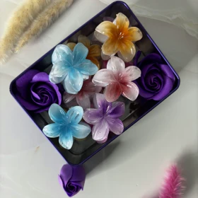 کلیپس پلومریا کوچک کد 2135