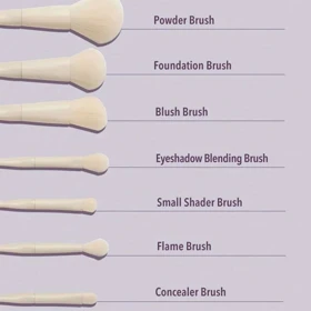 ست براش 8 عددی چشم و صورت مدل PRO CORE شیگلم (Sheglam)