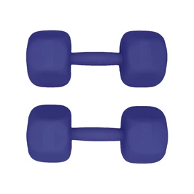 دمبل رادیس فیت مدل RFP-6 Power وزن 6 کیلوگرم بسته بندی دو عددی