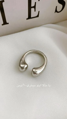 فستیوال60_30